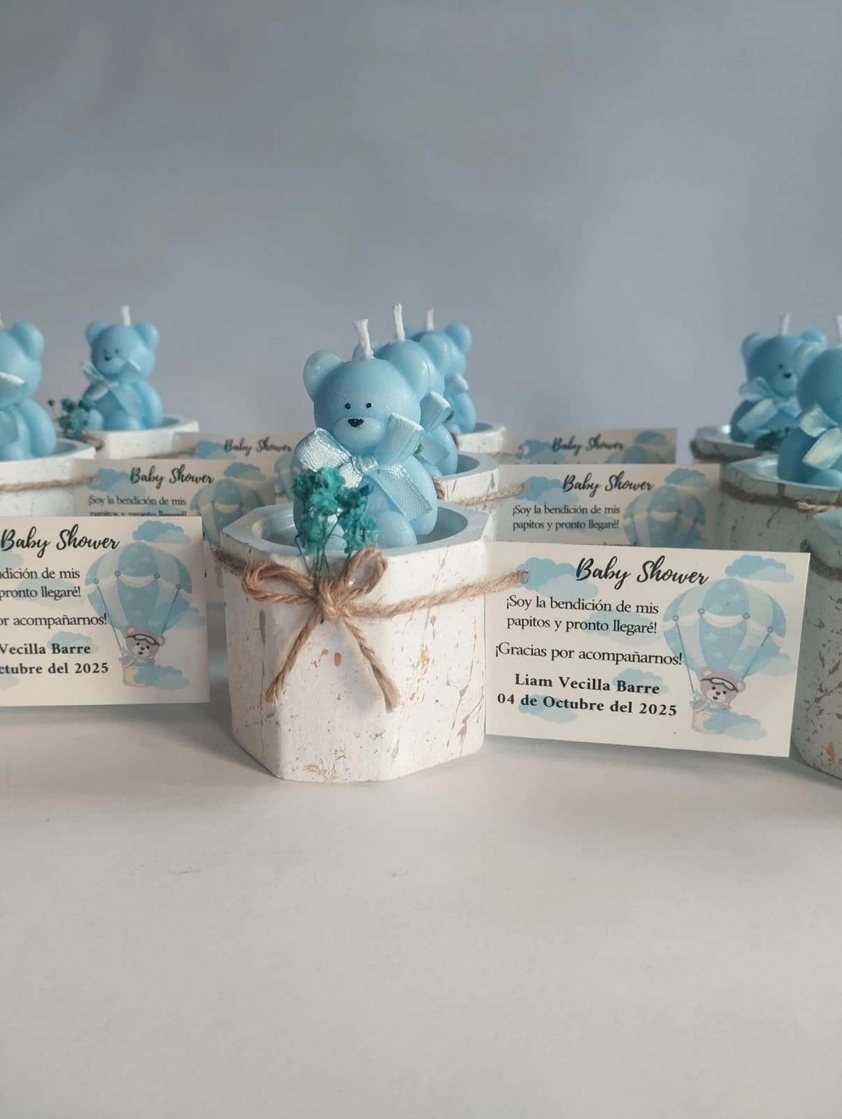 Ositos mini en maceta salpicada